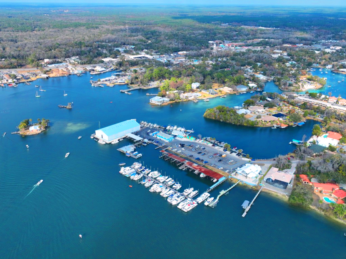 Aerial view of a marina with boats docked and surrounding water and greenery.