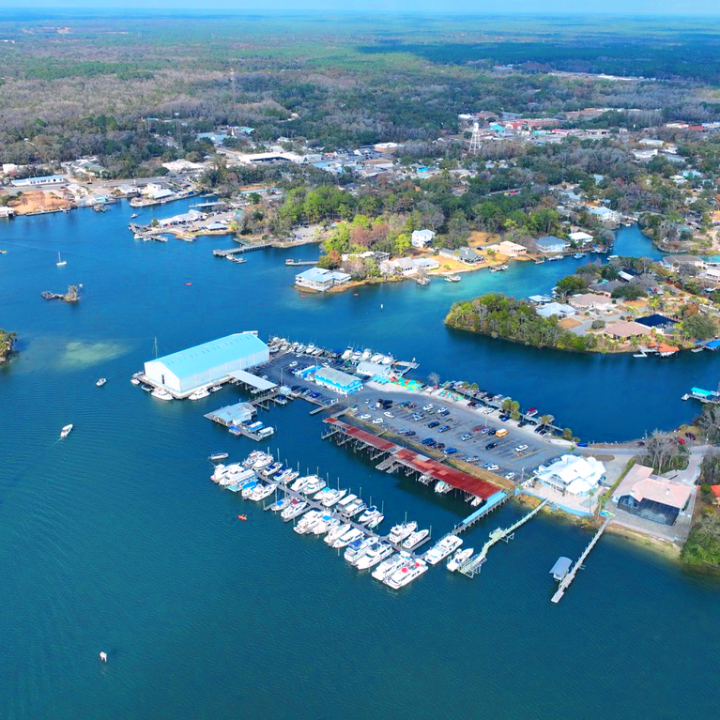 Aerial view of a marina with boats docked and surrounding water and greenery.